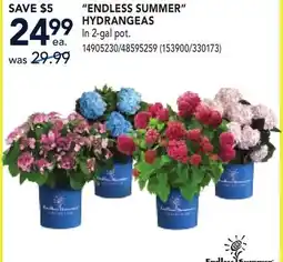RONA ENDLESS SUMMER HYDRANGEAS offer