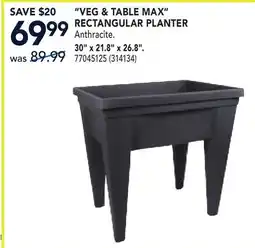 RONA VEG & TABLE MAX RECTANGULAR PLANTER offer