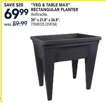 RONA VEG & TABLE MAX RECTANGULAR PLANTER offer