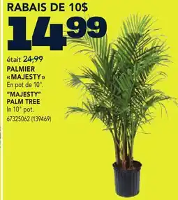 RONA MAJESTY PALM TREE offer