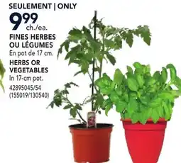 RONA HERBS OR VEGETABLES offer