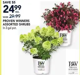 RONA PROVEN WINNERS ASSORTED SHRUBS offer