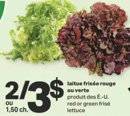 L'Intermarché LAITUE FRISÉE ROUGE OU VERTE offer