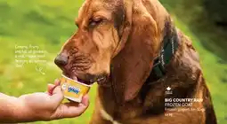 Mondou BIG COUNTRY RAW FROZEN GOAT Frozen Yogurt for Dogs offer