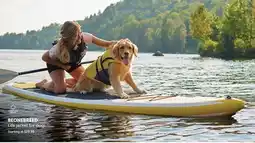 Mondou BEONEBREED Life jacket for dogs offer