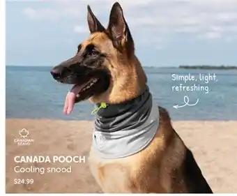 Mondou CANADA POOCH Cooling snood offer