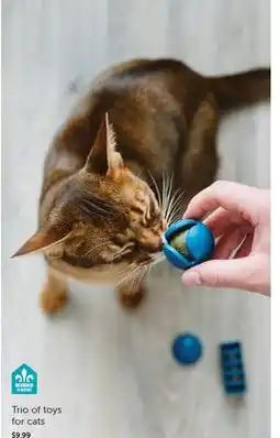 Mondou Trio of toys for cats offer