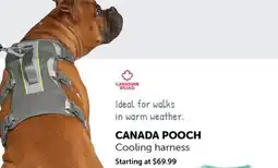 Mondou CANADA POOCH Cooling harness offer