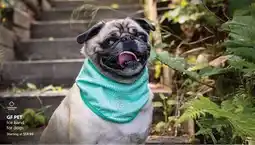 Mondou GF PET Ice band for dogs offer