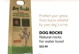 Mondou DOG ROCKS Natural Rocks for water bowl offer