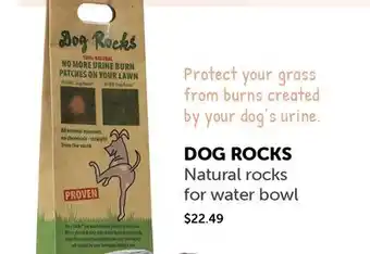 Mondou DOG ROCKS Natural Rocks for water bowl offer