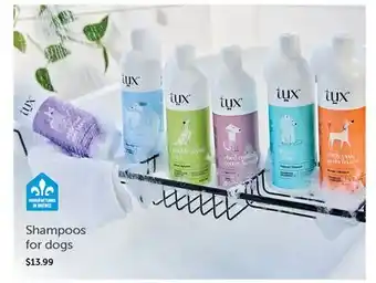 Mondou tux Shampoos for Dogs offer