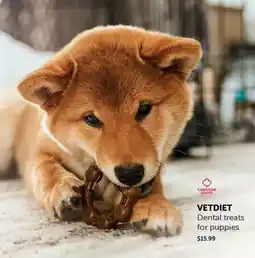 Mondou VETDIET Dental treats for puppies offer