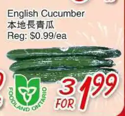 Foody Mart English Cucumber offer