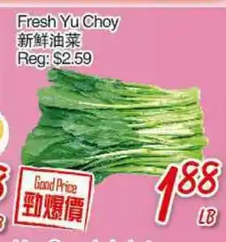 Foody Mart Fresh Yu Choy offer