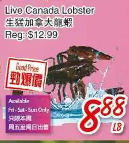 Foody Mart LIVE CANADA LOBSTER offer