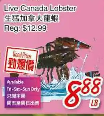 Foody Mart LIVE CANADA LOBSTER offer
