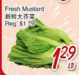 Foody Mart FRESH MUSTARD offer