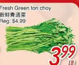 Foody Mart Fresh Grren TON choy offer