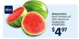 Walmart Mini Watermelon offer