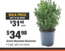 Home Depot Green Mountain Boxwood offer