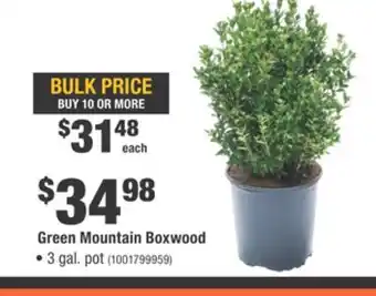 Home Depot Green Mountain Boxwood offer