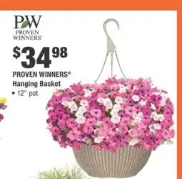 Home Depot PROVEN WINNERS Hanging Basket offer