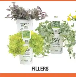 Home Depot PROVEN WINNERS FILLERS offer