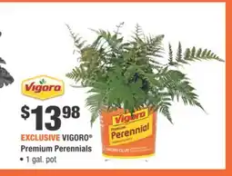Home Depot VIGORO Premium Perennials offer