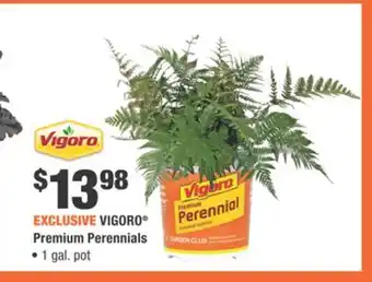 Home Depot VIGORO Premium Perennials offer