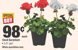 Home Depot Seed Geranium offer