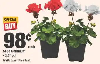 Home Depot Seed Geranium offer