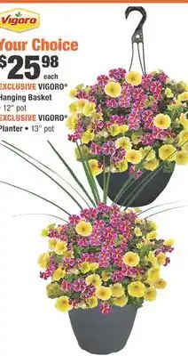 Home Depot VIGORO Hanging Basket offer