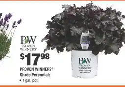 Home Depot PROVEN WINNERS Shade Perennials offer