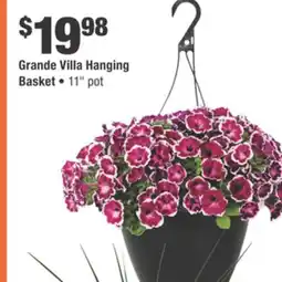 Home Depot Grande Villa Hanging Basket offer