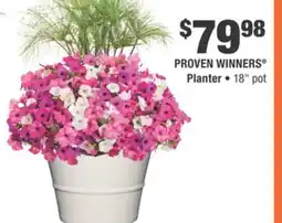 Home Depot PROVEN WINNERS Planter offer