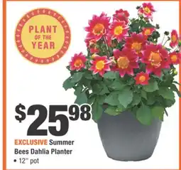 Home Depot Summer Bees Dahlia Planter offer