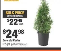 Home Depot Emerald Cedar offer