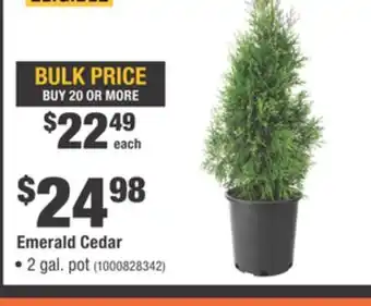 Home Depot Emerald Cedar offer