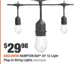 Home Depot HAMPTON BAY 24' 12-Light Plug-In String Lights offer