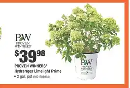 Home Depot PROVEN WINNERS Hydrangea Limelight Prime offer