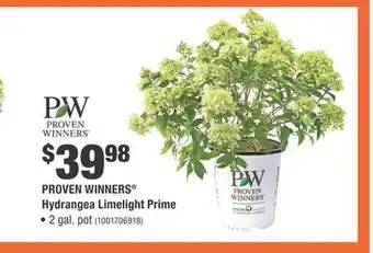 Home Depot PROVEN WINNERS Hydrangea Limelight Prime offer