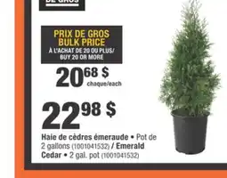 Home Depot Emerald Cedar offer
