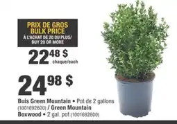 Home Depot LANDSCAPERS Green Mountain Boxwood offer