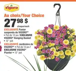 Home Depot VIGORO Hanging Basket, VIGORO Planter offer