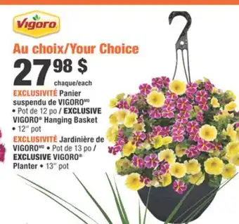 Home Depot VIGORO Hanging Basket, VIGORO Planter offer