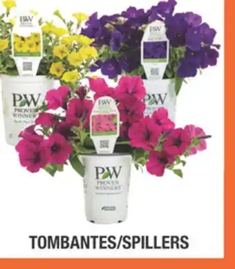 Home Depot PROVEN WINNERS Spillers Assorted Annuals and Accents offer