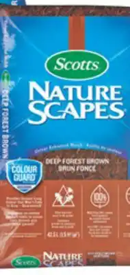 Home Depot Scott Deep forest Brown offer