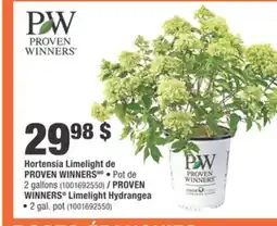 Home Depot PROVEN WINNERS Limelight Hydrangea offer