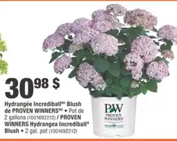 Home Depot PROVEN WINNERS Hydrangea Incrediball Blush offer
